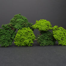 Carica l'immagine nel visualizzatore di Gallery, Alberi naturali da modellismo VERDI per piste 1/32 > 1/24 di RAS