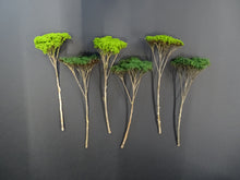 Carica l'immagine nel visualizzatore di Gallery, Alberi naturali da modellismo VERDI per piste 1/32 > 1/24 di RAS