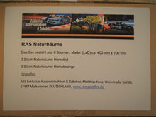 Carica l'immagine nel visualizzatore di Gallery, Naturbäume Herbst Packung