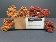 Carica l'immagine nel visualizzatore di Gallery, Modellbau Naturbäume Herbst