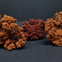 Carica l'immagine nel visualizzatore di Gallery, Naturbäume Herbst Modellbau 6 Stück