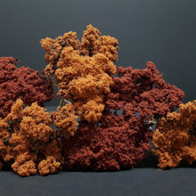 Carica l'immagine nel visualizzatore di Gallery, Naturbäume Herbst Modellbau