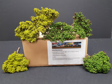 Carica l'immagine nel visualizzatore di Gallery, Modellbau Nauturbäume Blattwerk